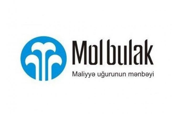 “Mol Bulak” kredit təşkilatının xalis mənfəəti 3 dəfə artıb