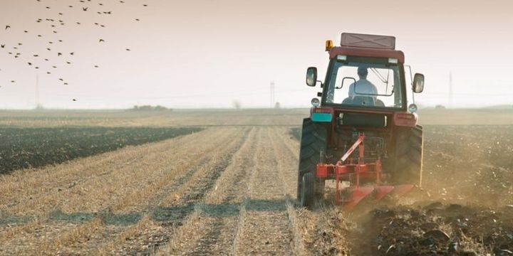 Subsidiyalar ilin əvvəlində veriləcək