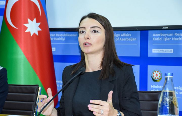 Azərbaycan Türkiyəli millət vəkilinin “qarışıq və qaranlıq əlaqələr” ittihamına cavab verdi