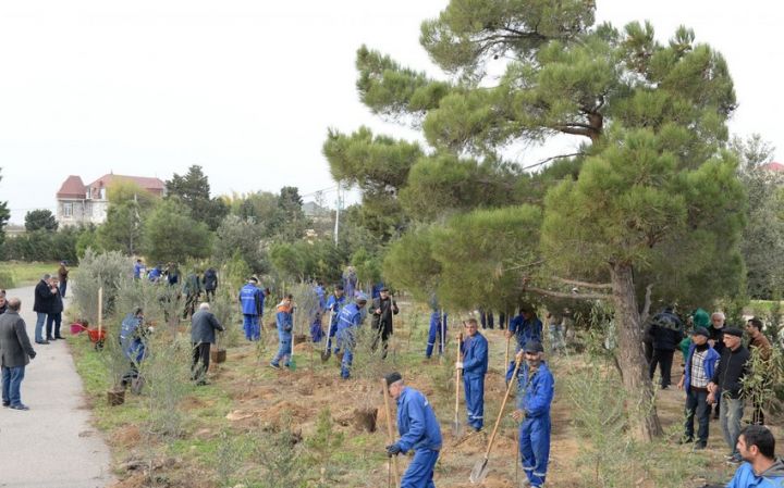 Bakıda Yeni illə bağlı iməclik keçiriləcək