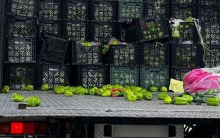 İrandan Azərbaycana gətirilən bibərlərdə də zərərli virus aşkar olundu - MƏHV EDİLDİ