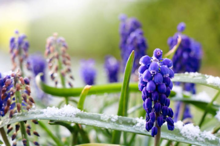 Martın 4-də gözlənilən hava şəraiti