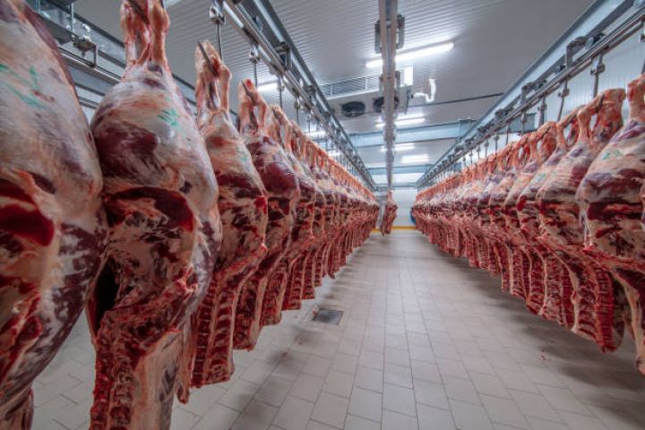 Dünya bazarında ət qiymətlərində yeni rekord - Bitki yağları da kəskin bahalaşıb