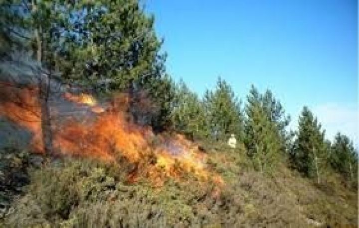 Oğuzda meşədə baş verən yanğın Şahdağ Milli Parkına keçib