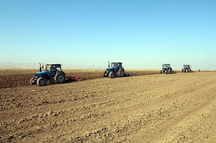 Yeni qaydalarla subsidiya verilməsi üçün müraciətlərin qəbuluna başlanıb