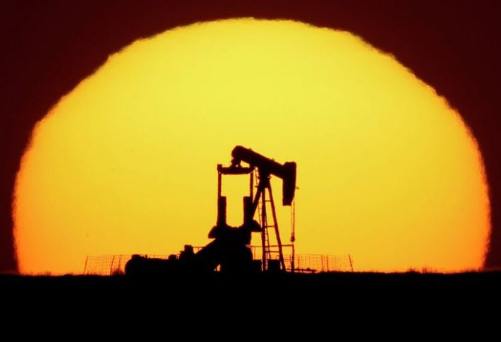 "OPEC+" neft hasilatını tədricən bərpa etmək niyyətindədir