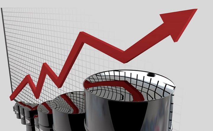 Fitch: "OPEC + neft bazarının həddindən artıq "qızmasına" imkan verməyəcək"