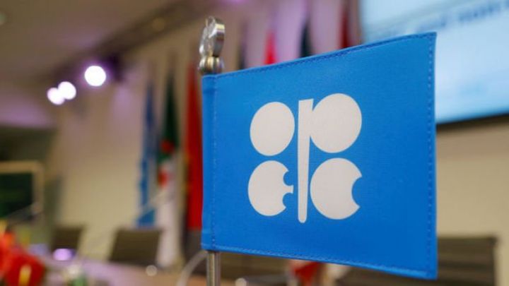 OPEC+ hasilatın mərhələli artırılmasını təklif etdi