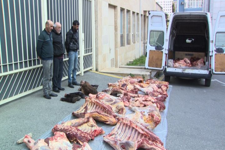 Ölü at və mal ətinin satışı ilə məşğul olan dəstə üzvləri ifşa olundu