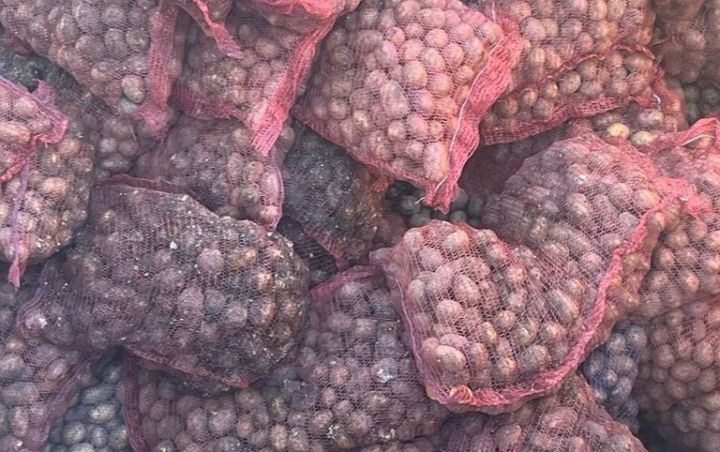 “Baku Fruit Delivery” şirkətinin və Cabir İsbəndiyarovun 44 tona yaxın kartofu məhv edilib