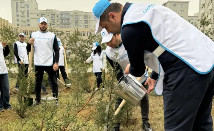 BOKT "Caspian İnvest" Heydər Əliyevin 22-ci anım gününə həsr edilmiş ağacəkmə aksiyası keçirib