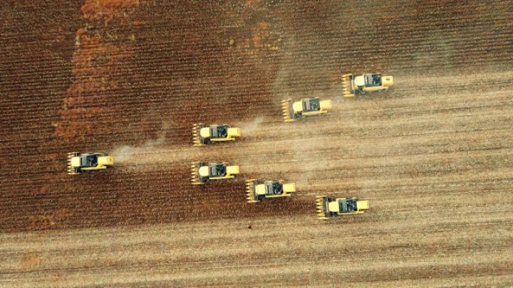 Qlobal ərzaq qiymətləri 5 aydır fasiləsiz düşməkdə davam edir